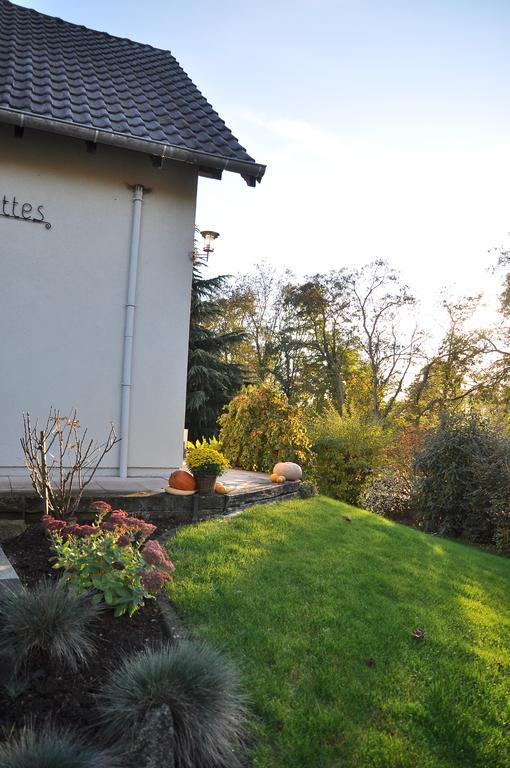 Chambres D'Hotes Les Chalinettes Fegersheim Εξωτερικό φωτογραφία
